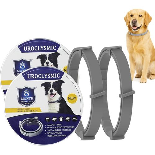 Chenquansarl-Lot De 2 Colliers Anti-Puces Pour Chien - Protection Longue Durée Jusqu'à 16 Mois, Huile Essentielle Naturelle, Étanche Et Ajustable, Sûr Et Confortable, Pour Chiens Dès 8 Semaines