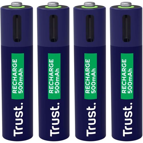 Piles AAA Rechargeables USB-C Lot de 4, Port USB-C Intégré, Accu Capacité 500mAh, Aucun Chargeur de Batterie Nécessaire, Charger Via Chargeur de Téléphone/Câble USB Inclus, 4PCS