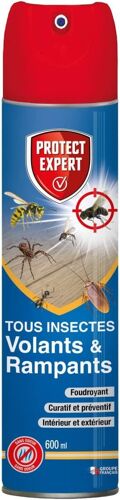 A¿¿rosol Foudroyant Insectes Volants & Rampants - 600ml - Moustiques Mites Alimentaires Rampants Fourmis Puces - Action Curative & Pr¿¿ventive VOLRAMP600