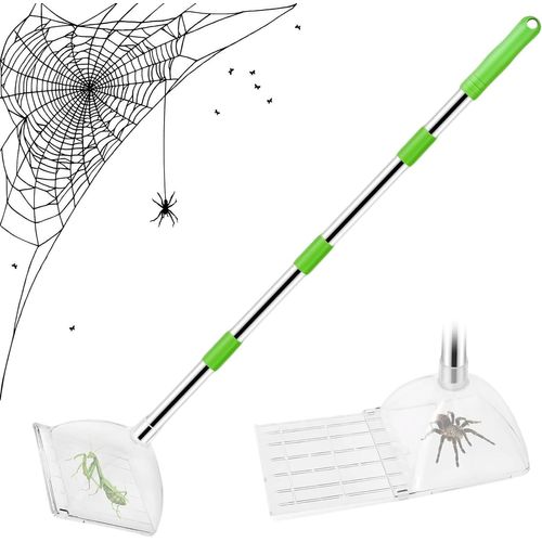 KALANKA-Attrape-araignées avec long manche, 82 cm, sans contact, attrape-insectes vif, attrape-araignées, convient pour attraper et libérer en toute sécurité les araignées, les cafards et les guêpes