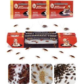 KALANKA-30 Pièges Anti Cafard Puissant Piege a Cafard et blattes Collant Piège Cafard Efficace Produit Cafard Puissant Professionnel Non Toxique pour Maison Cuisine Garage Salon Bureau