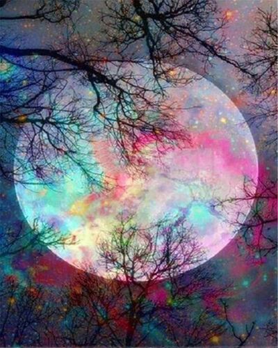 Diy 5d Diamant Peinture Par Numéro Kits Complet Perceuse Strass Broderie Point De Croix Images Arts Artisanat Pour Maison Murale Decor.Full Moon 40 * 50cm