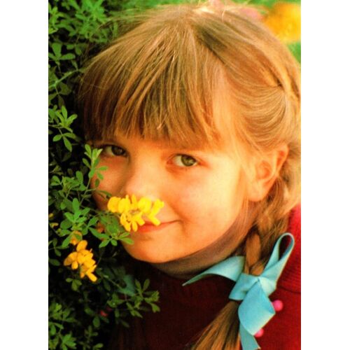 Carte Postale Unicef-Usa -Shelley Rotner