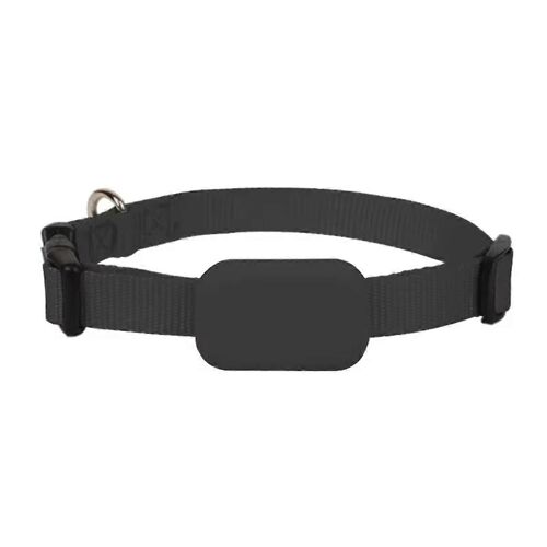Étanche Mini Chien Animal Pistage Mouvement Alerte Colliers Anti Perdu