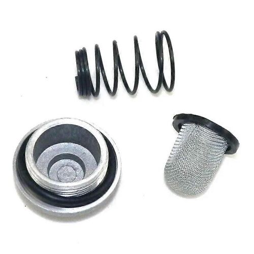Filtre À Huile De Moto Scooter Bouchon De Vidange D'huile Set Gy6 50cc 125cc 150cc Filtre 139qmb 152qmi 157qmj Baotian Benzhou Znen Taotao