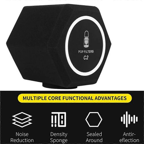 C2 Microphone Pop-Filter pare-vent acoustique pour studios d'enregistrement