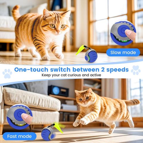 Speedy Tail 3.0 Jouet Interactif Pour Chat Avec 2 Queues De Rechange Bleu