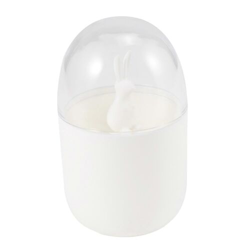 Porte-Coton-Tige, Petit Q-Tips Cure-Dents Organisateur De Rangement (Lapin)