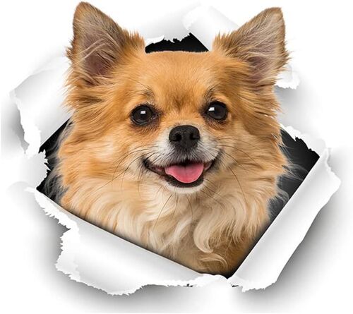 (F)Autocollant De Voiture,De Voiture En 3d Autocollants De Vinyle Autocollants Pour Voitures Drôle Créatif Chien Autocollant De Voiture Pour La Fenêtre,Mur,Porte,Capot Autocollant Autocollant Chien