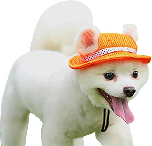 Chapeau De Soleil Orange Pour Chien Et Chat, Chapeau D'été Rond En Maille, Chapeau De Protection Solaire Pour Animaux De Compagnie, Chapeau Pour Animaux De Compagnie À Bord Pointu
