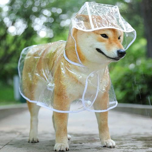 Manteau De Pluie Imperméable Pour Chien, Imperméable En Pvc Transparent Avec Capuche, Tailles S, M, L Et Xl (Petit)