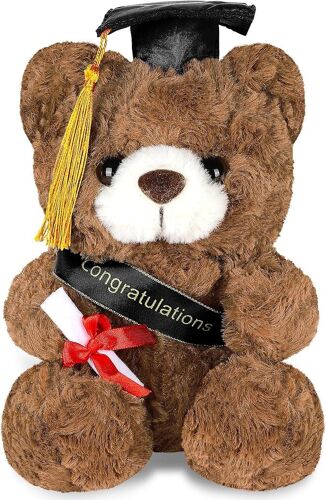 Cadeaux 2024 pour filles et garçons, cadeau d'examen de baccalauréat réussi pour dames, poupée ours