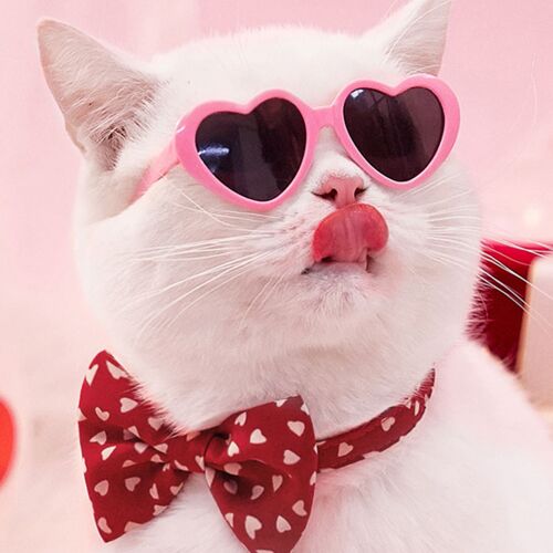 4 Pièces De Lunettes Pour Chien, Chat Et Animal De Compagnie Tendance Créative Love Gla