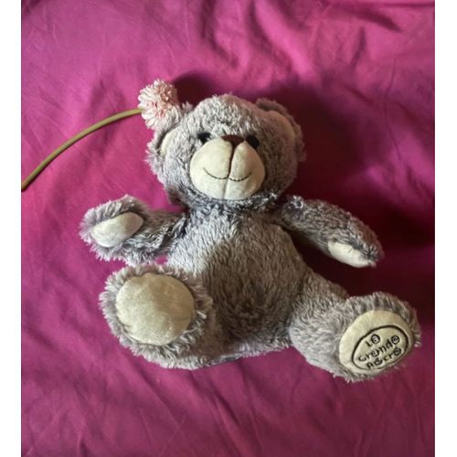 Ours en peluche 