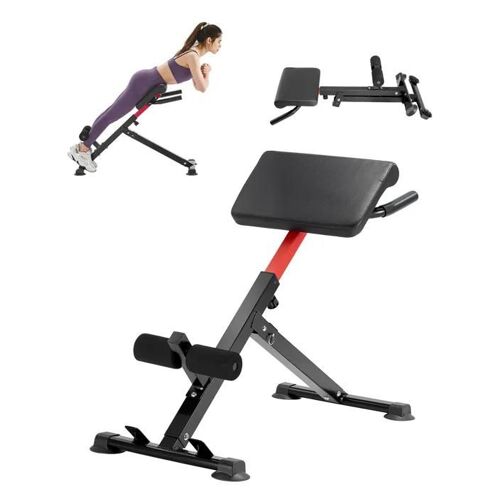 Banc De Musculation Multifonction-Vevor-Banc D'hyperextension-Chaise Romaine-Équipement D'exercice Pour Fessiers-Capacité 113 Kg