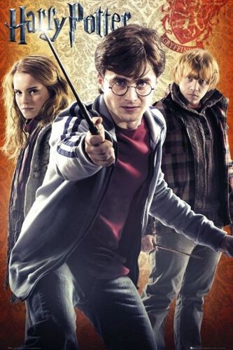 Harry Potter 7 - Trio Taille : 61x91,5cm - Affiche - Envoie Roulé