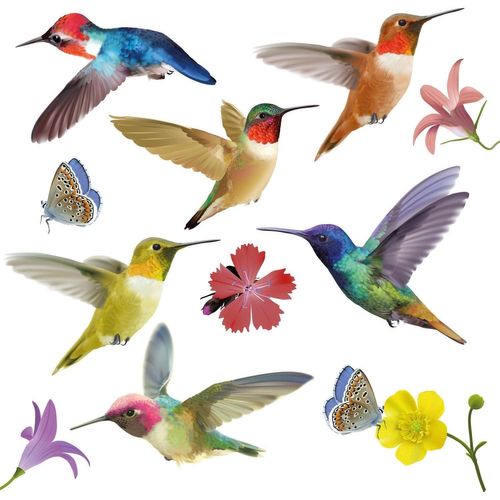 12 Pcs Autocollants Colibri Pour Fenêtre Décalques De Fenêtre Anti-Collision Pour Chambre D'enfant Multicolore (60 X 30 Cm)