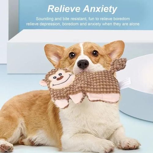 Jouet en peluche - FYDUN - LT020 - Soulagement de l\'anxiété - Nettoyage des dents - Amusant cliquetis