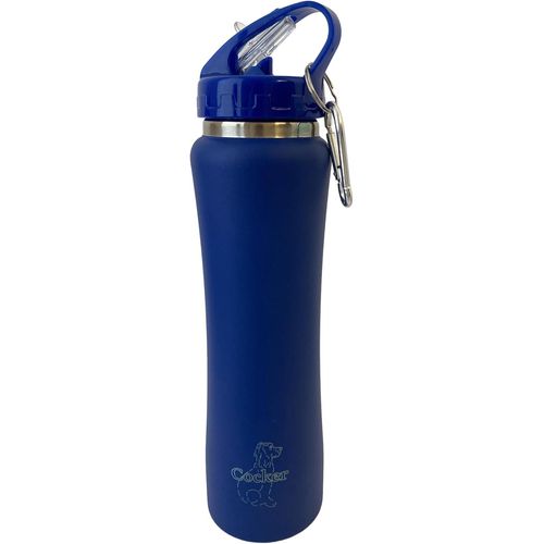 Letnerny-Bouteille Isotherme - 550 Ml - Bouteille D'eau - Bouteille D'eau En Acier Inoxydable - Trekking - Fitness - Gym - Sport - Camping - Bureau - Extérieur - Couleur Bleue