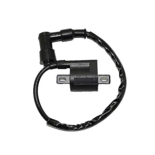 Bobine D'allumage De Remplacement,Bobine D'allumage De Moto Pour 250 Vtt 1999 2000 2001 2002 2003 2004 Noir