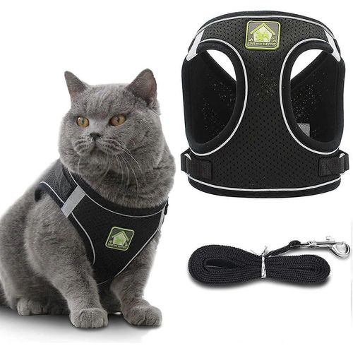 2025 - Harnais Et Laisse Pour Chat Avec Laisse Pour Chaton : Ensemble Gilet Réglable Anti-Fuite Pour Chats Compatibles