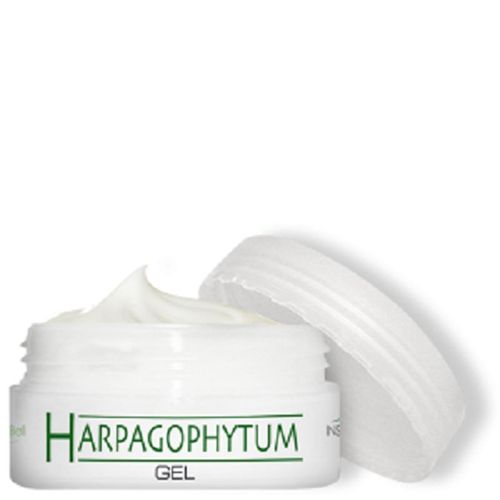 Gel De Massage Muscles Et Articulations Harpagophytum 