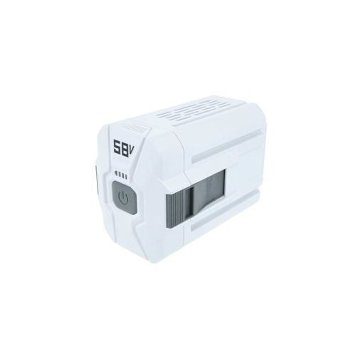 vhbw Batterie compatible avec Texas LMZ5800, LMZ5800TR, LBZ5800, PCZ5800 tondeuse débroussailleuse, coupe bordure (5000mAh, 58V, Li-ion)