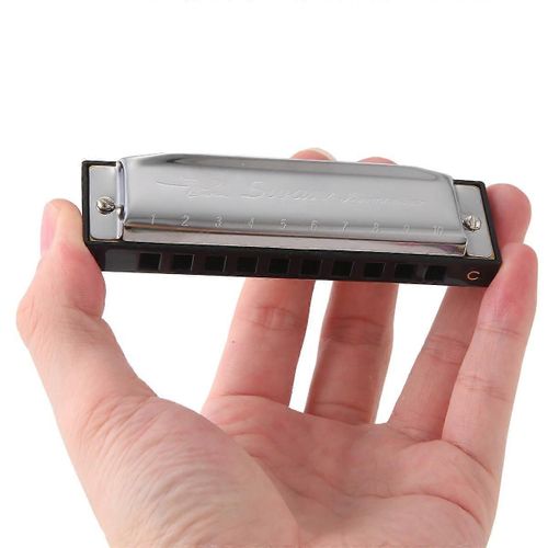 Cygne Harmonica 10 Trous Clé De C Argent Avec Étui Blues Harpe Acier Inoxydable Nouveau