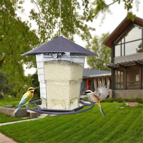 Mangeoires À Oiseaux Pour L'extérieur Distributeur Automatique De Nourriture Mangeoires À Oiseaux Pour L'extérieur Résistant Aux Intempéries Grands Aliments