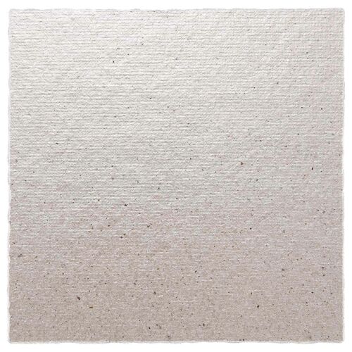 2 x Plaque de remplacement 12 x 12 cm Mica pour micro-ondes