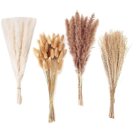 100 PCS séché Pampas herbe Decor Pampas herbe Bunny Tails fleurs séchées roseau bouquet d'herbe pour Weddi
