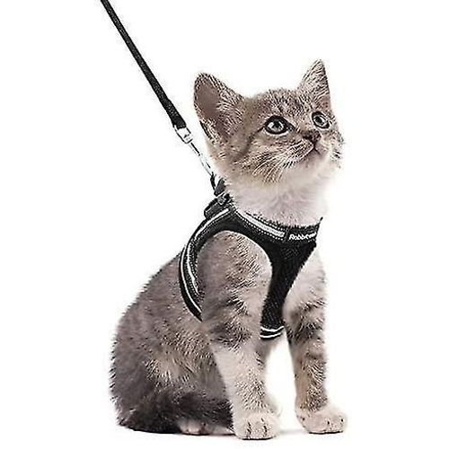 Harnais Pour Chat Harnais Pour Chaton Avec Laisse Pour Chat,Confort Doux Et Réglable