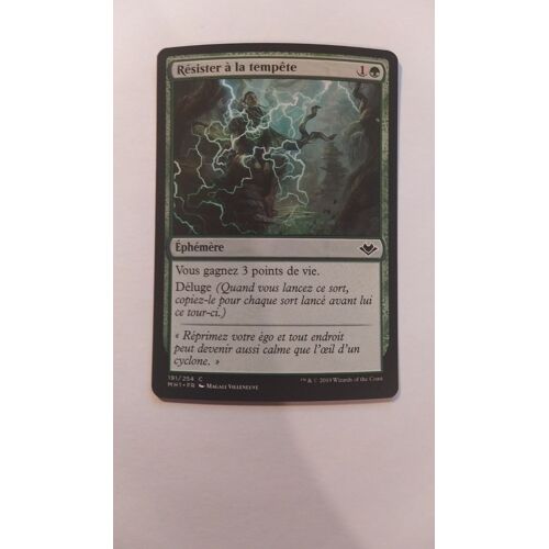 Weather The Storm // Résister À La Tempête (Modern Horizons)