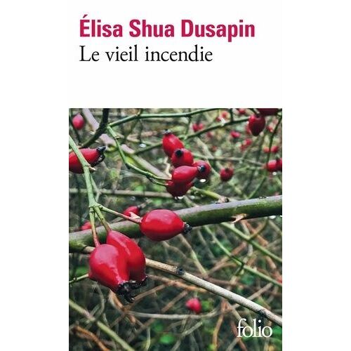 Le Vieil Incendie