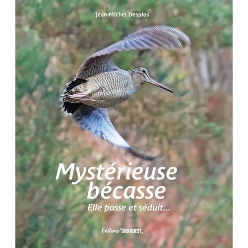 Mystérieuse Bécasse - Elle Passe Et Séduit