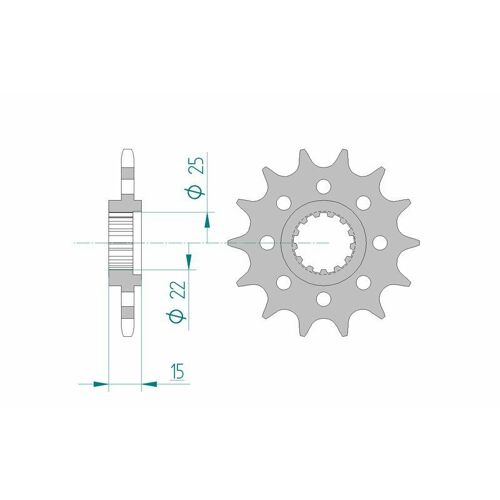Afam Pignon Acier Standard 24507 - 520