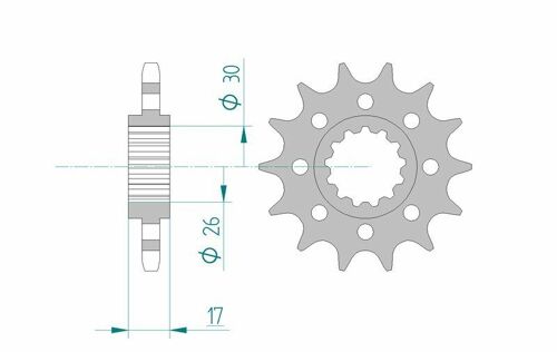 Afam Pignon Acier Standard 20615 - 525
