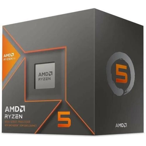 amd processeur r5 8600g