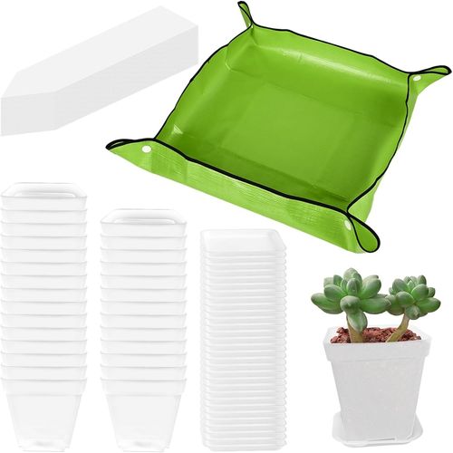 Tianyi-Lot De 30 Pots De Culture Transparents Avec Tapis De Plantation, Soucoupe, Pot De Fleurs Carré Avec 30 Étiquettes Pour Plantes, Pots De Plantes Succulentes, Mini Pots De Fleurs Avec Trous De D