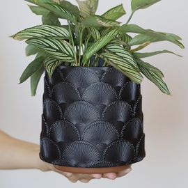 lbgwp60-Pot De Fleurs À Échelle Noire Nacrée, Multicolore, Avec Drainage, Petits Pots Éclectiques Mignons Pour Plantes D'Intérieur, Arc-En-Ciel, Drôles, Succulentes, Cadeaux
