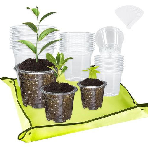 Asfasfq-Lot De 30 Pots De Culture, Transparents, Avec Tapis De Plantation Et Étiquettes Pour Plantes, 9/10,5/12,5 Cm, Avec Trous De Drainage, Pour Graines, Semis, Plantes Succulentes