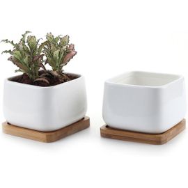 10cm Pot De Succulent En Céramique Avec Plateau En Bambou Blanc Lot De 2,Cactus Plante Planteur Cache Pot Jardinière Contenant Cadeau Pour Anniversaire Mariage