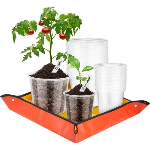 Teppe-40 Pièces Pots De Germination Clairs Avec Tapis De Plantation, Pots Transparent Pour Orchidées Avec Trou De Drainage Et 20 Étiquettes De Plantes, Pots En Plastique (9cm, 10cm)