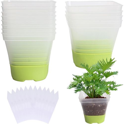 Tianyi-Lot De 12 Pots De Culture, Transparents, Avec Socle En Silicone, 8 Cm, Avec Étiquettes De Plante, Réutilisables, En Plastique, Pour Plantes Succulentes, Semis Et Semis