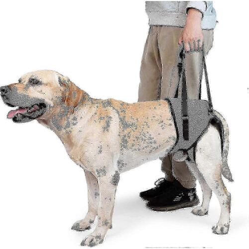 Harnais Pour Chien Pour Grands Chiens Support De Jambe Arrière Pour Aider À Réhabiliter Les Membres Postérieurs Des Chiens Âgés Avec Des Jambes Arrière Faibles,Des Handicaps,De L'arthrite,Du Lca,De La