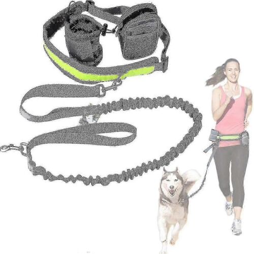 Kit De Laisse Pour Chien De Course Idéal Pour Courir,Faire Du Jogging Et Marcher - Laisse Mains Libres