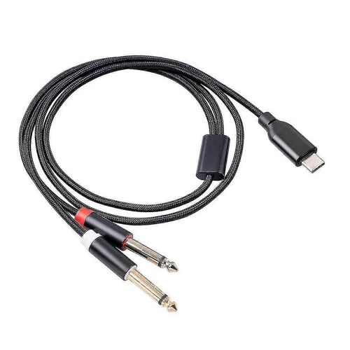 Câble audio stéréo USB Type-C vers double 6,35 mm 1 m pour instruments et interfaces