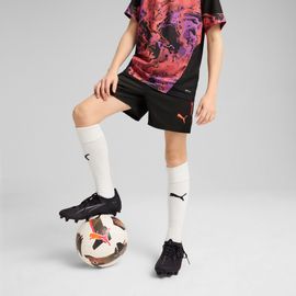 Puma Short De Football Individualcup Homme, Vêtements, Noir, 15-16y