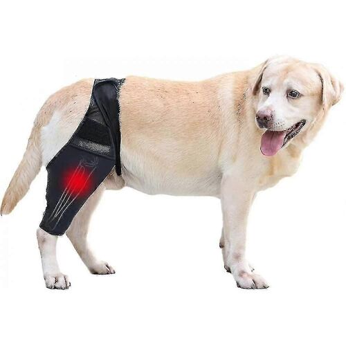 Attelle De Genou Pour Chien,Attelle De Jambe De Chien,Attelle De Soutien De La Hanche Pour Les Blessures Aux Ligaments Croisés,Ccl,Luxation De La Rotule Ou Arthrose,Hbu Tw