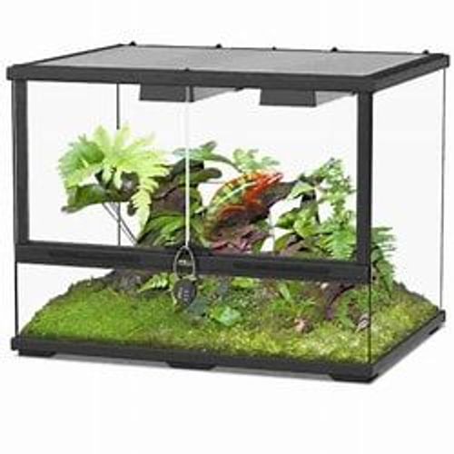 Terrarium Marque 'terratlantis' - - / Ideal Pour Lezards Ou Petits Serpents!